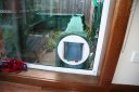 Cat flap from the inside